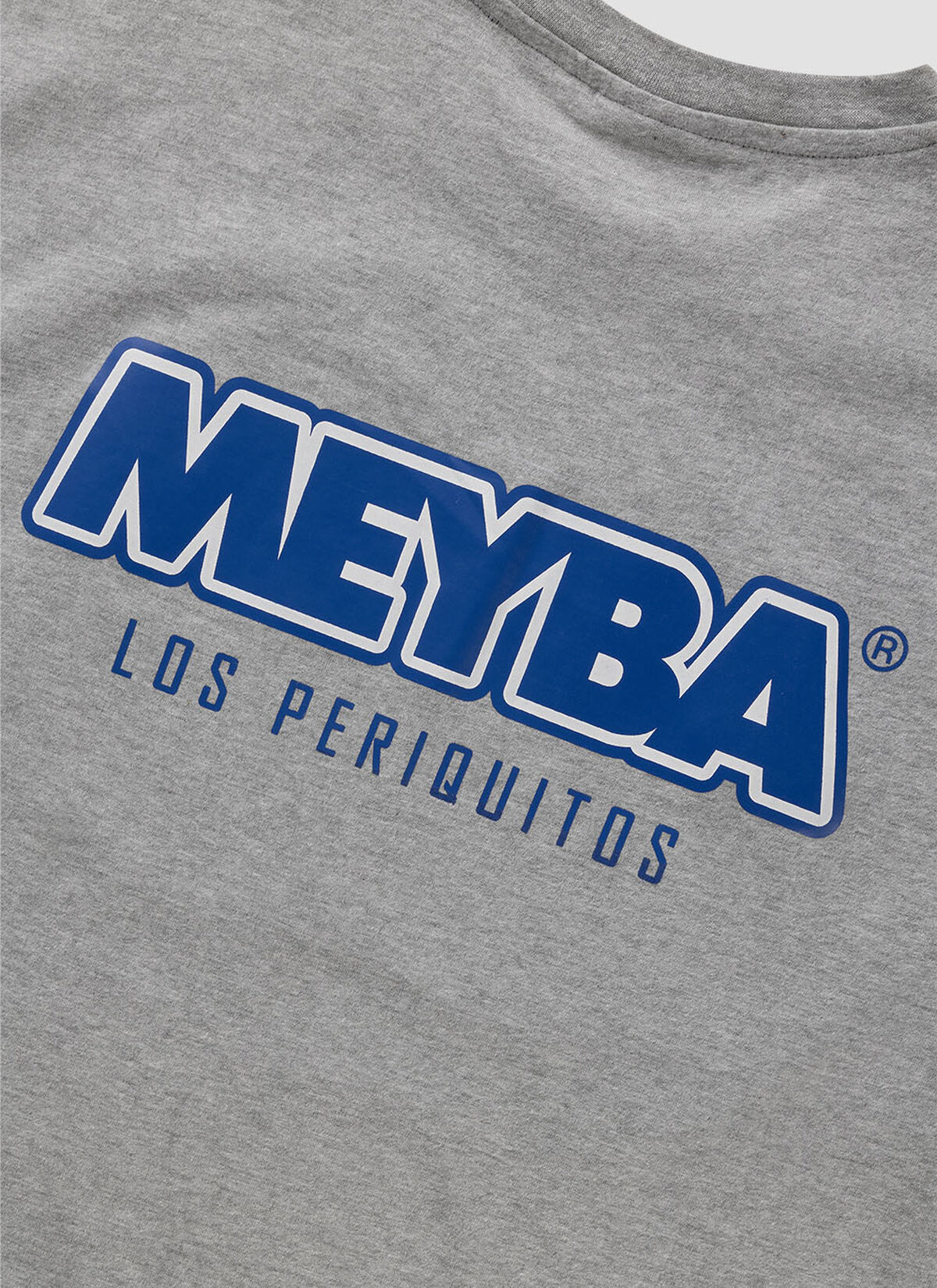 LOS PERIQUITIS TRAINING TEE, Grey, hi-res