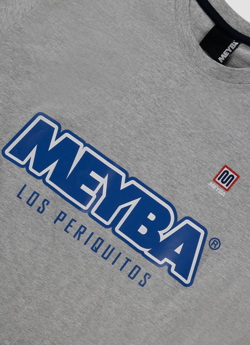 LOS PERIQUITIS TRAINING TEE, Grey, hi-res